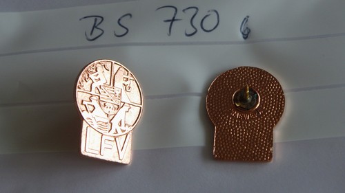 Feuerwehr pin lfv - pin,