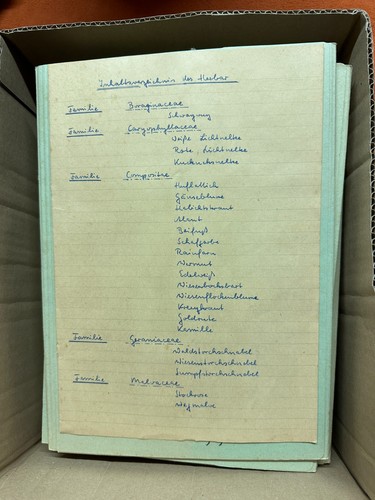 Altes herbarium pflanzen - altes,