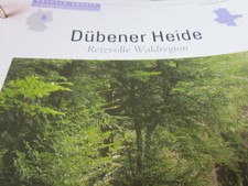 Sachsen Anhalt  Portrait